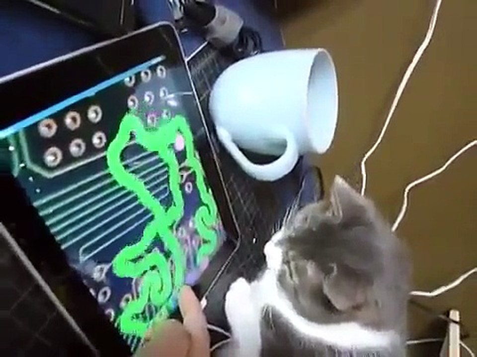 Кошка играет на планшете