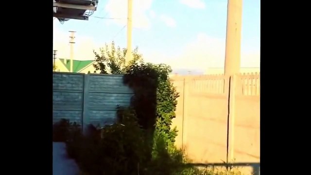 ЭТИ МИЛЫЕ И СМЕШНЫЕ ЖИВОТНЫЕ, Июнь 2015 лучшие приколы Best funny videos 2015