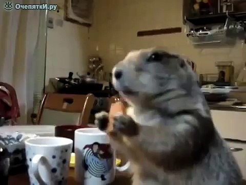 Пока никто не видит