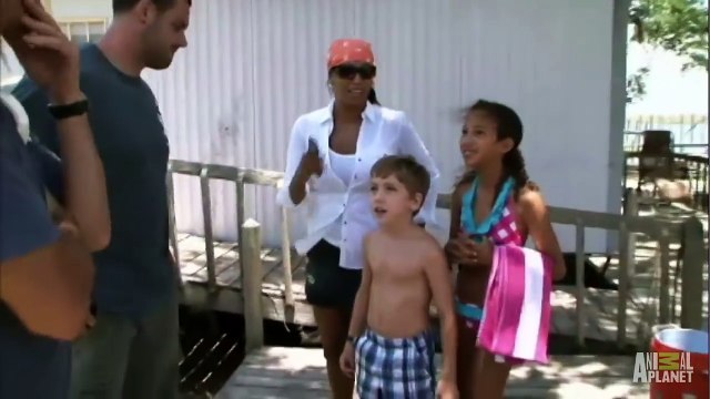 Pool Gator Boys Unwelcome Gator Takes a Dip in Family