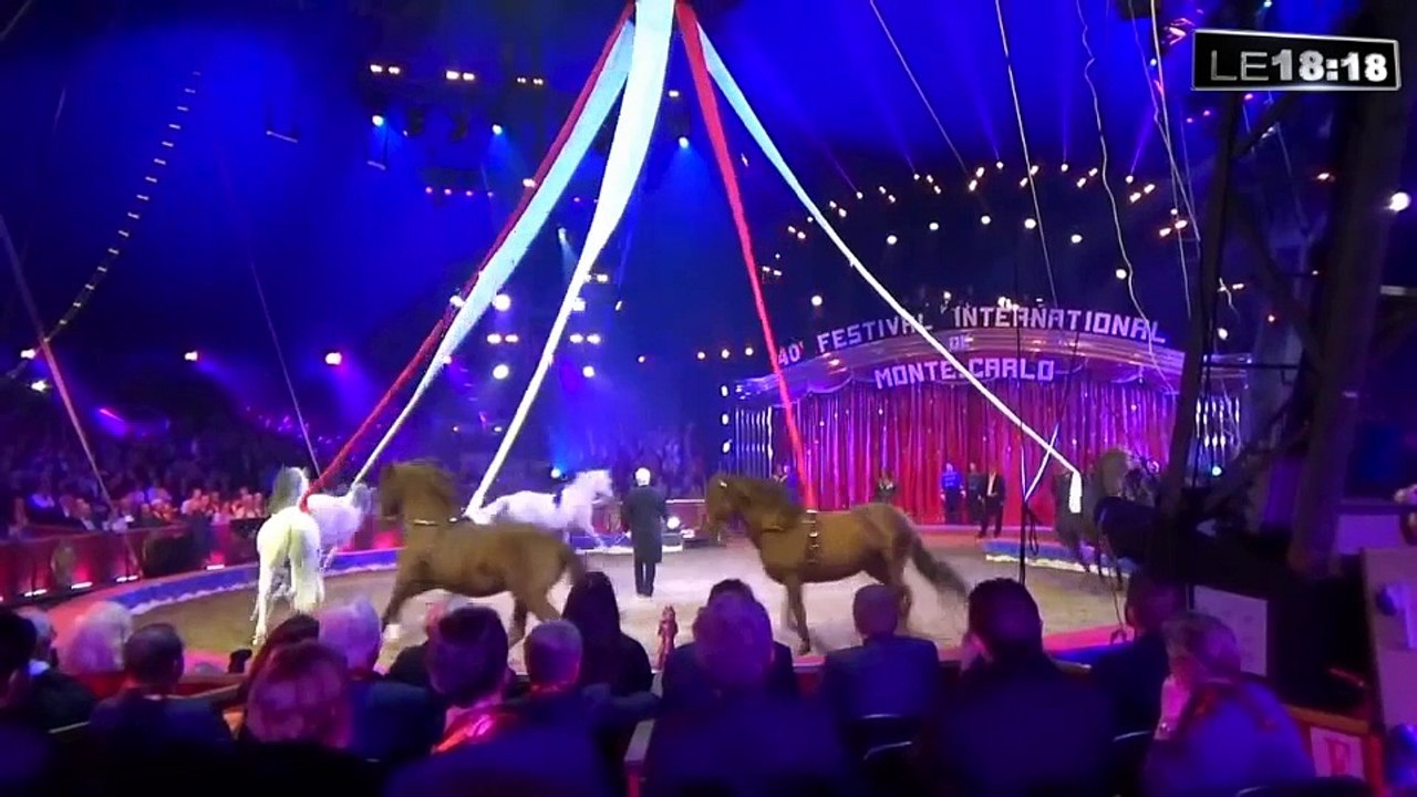 Le 18:18 - Animaux sauvages : refoulés de La Ciotat, les directeurs de cirques contre-attaquent