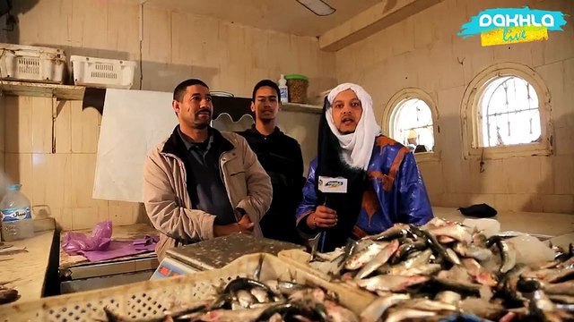 Les habitants de #Dakhla saluent la tenue du Forum Crans Montana 2016