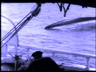20 000 lieues sous les mers - Film entier