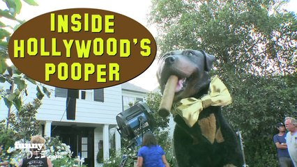 Triumph The Insult Comic Dog Visits the Set of  This is 40