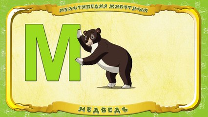 Мультипедия животных. Буква М Медведь