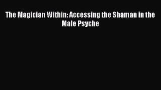 PDF The Magician Within: Accessing the Shaman in the Male Psyche Free Books