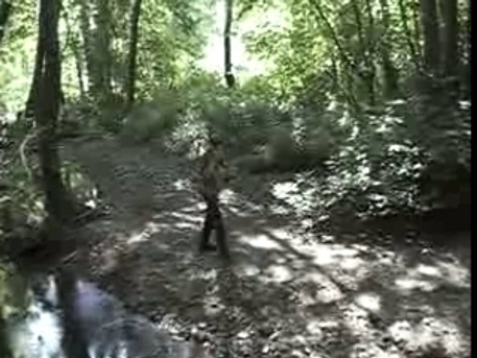 saut