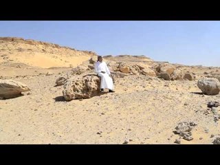 محمد بو سيد البرعصي -    علي القديم ردمنا | حفلات و كليبات الباديه