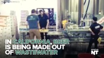Beer Is Being Made Out of Recycled Water