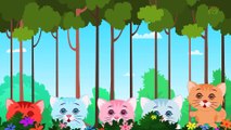 Five Little Kittens   English nursery rhymes for children   baby songs