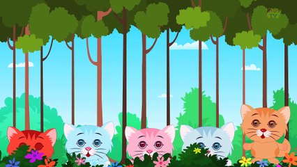 Five Little Kittens   English nursery rhymes for children   baby songs