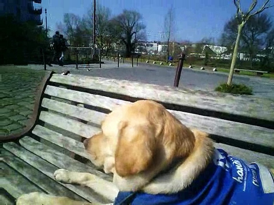 irvi Sous le Soleil Exactement