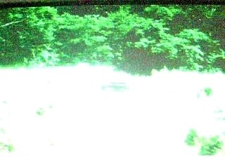 Saliva , clic clic boom