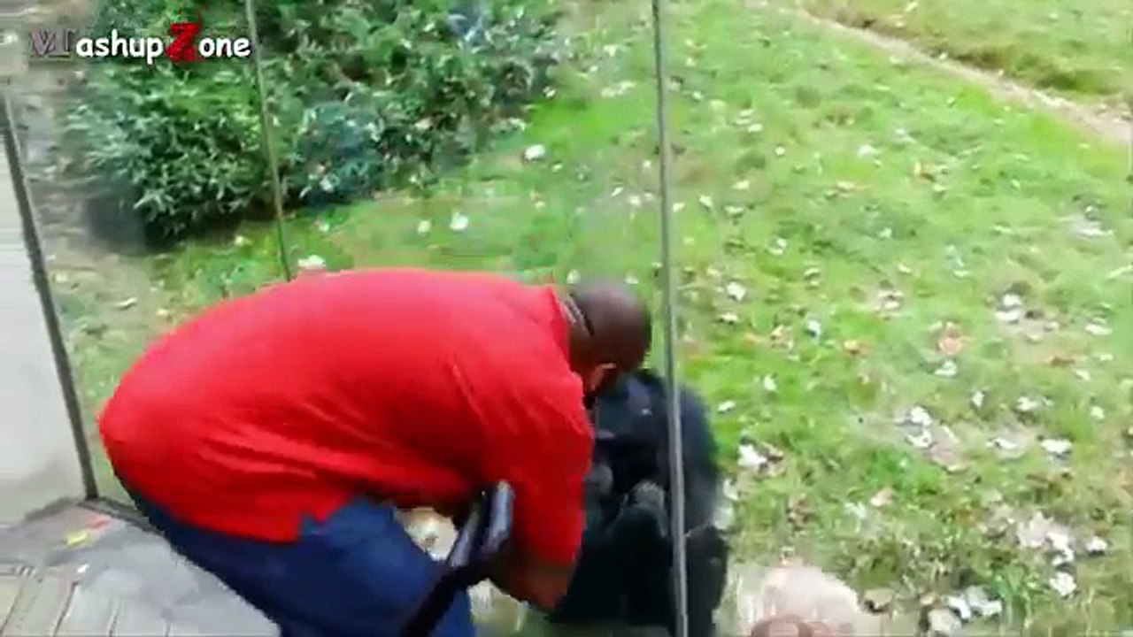 Funny Animals - A Funny Animal Videos Compilation 2015 [PART 2]