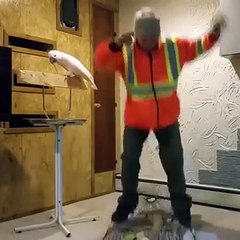 Dont f-ck with this birds cage.