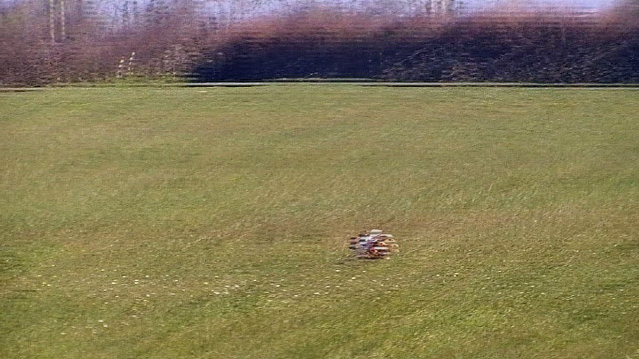 Jox arrêt Bécassine