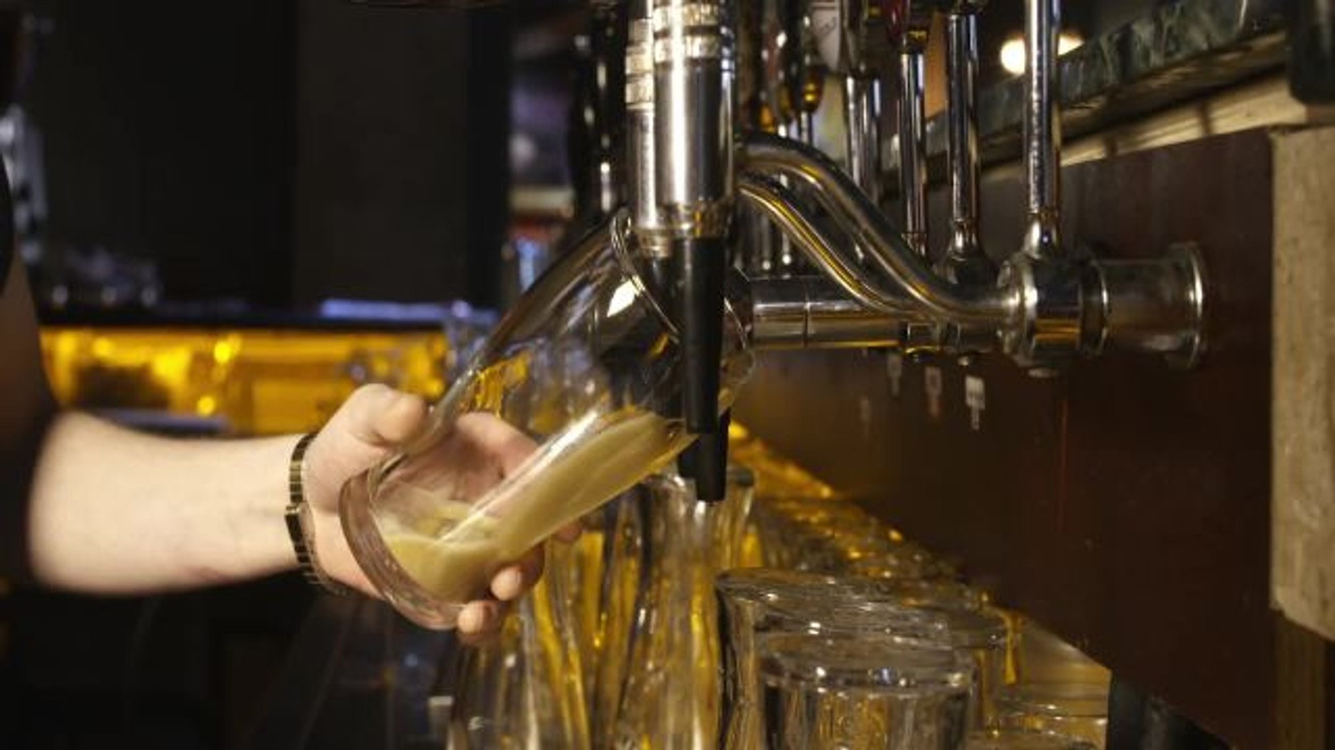 ⁣App Pack | All You Need for a Festive St. Patrick's Day