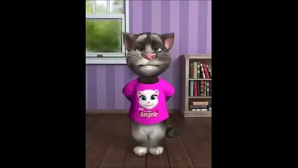 Talking Tom Cat Funny Videos