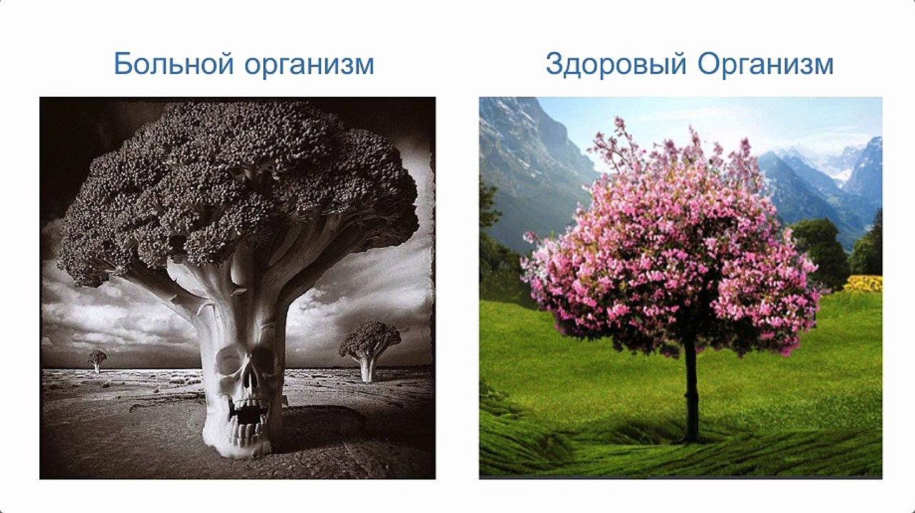 Укрепляй Иммунитет - Здоровье с Vision (2015.11.21)