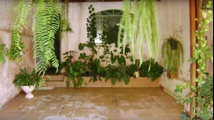 O meu vídeo editado