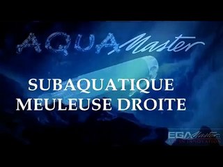 SUBAQUATIQUE MEULEUSE DROITE