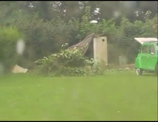 Suppression des cypres mai 2006 pour la division du terrain