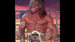 Every WWE World Heavyweight Champion (1963-2015) - world heavyweight championship history