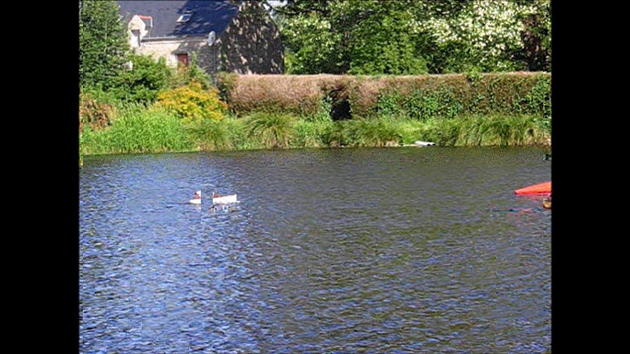 Pedalo