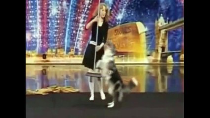 ютуб видео приколы с животными