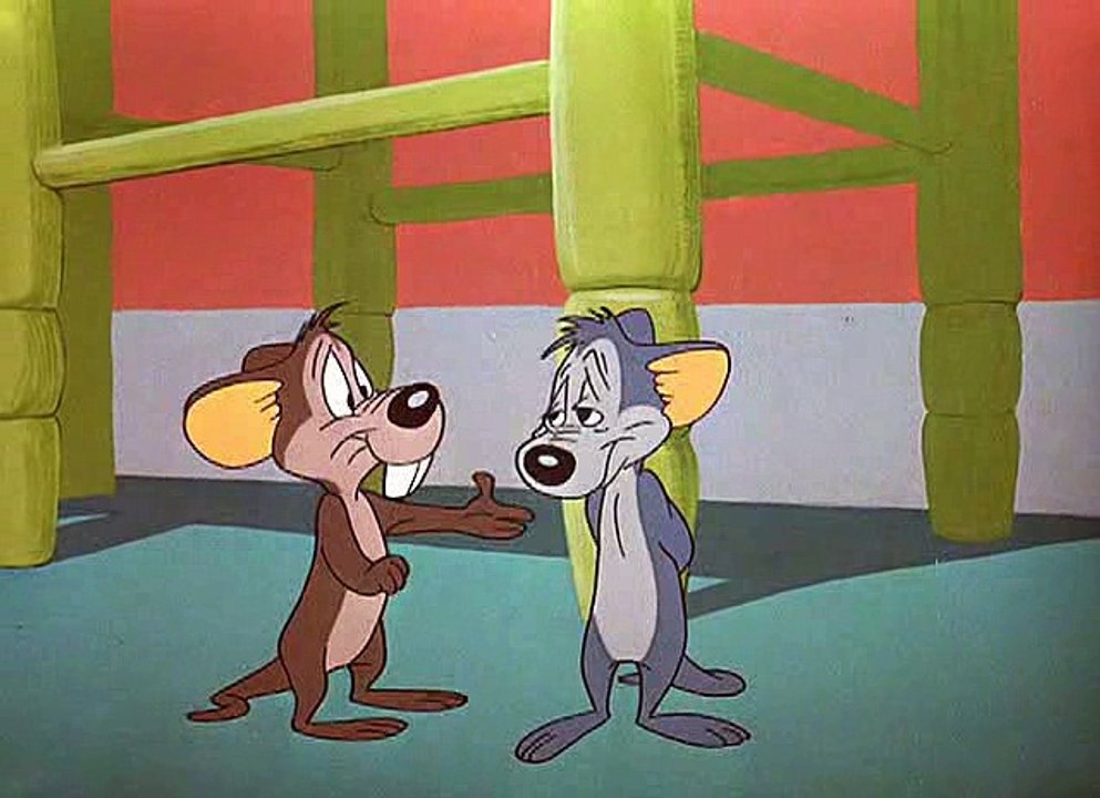 Road Runner and Coyote 09 - The Hypo-Chondri-Cat