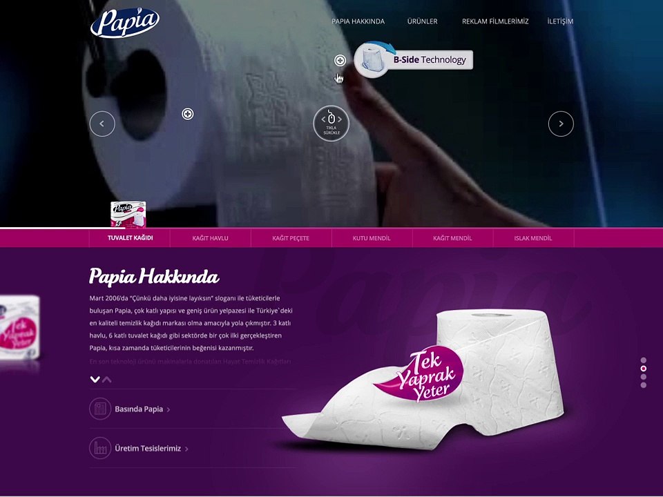 Papia Website Concept Design