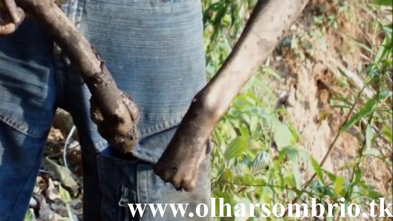 Impressionante!: Estranha Criatura encontrada na Amazônia.