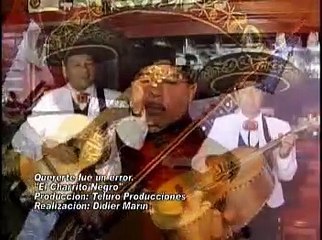 Charrito Negro - Quererte fue mi error