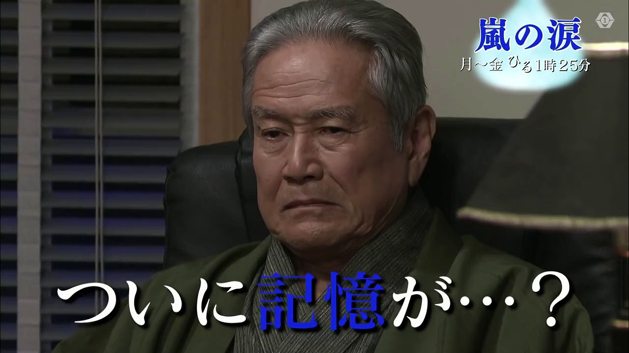 【公式】最後の昼ドラ『嵐の涙』予告第11話　2/15（月）放送
