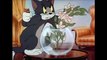 Tom and Jerry, 6 Episode - Puss n’ Toots (1942)  Tom And Jerry Cartoons