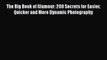 [PDF] The Big Book of Glamour: 200 Secrets for Easier Quicker and More Dynamic Photography