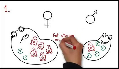 Quick Weight Loss for Women (fast weight loss)