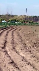 Arı üreticileri zor durumda-3