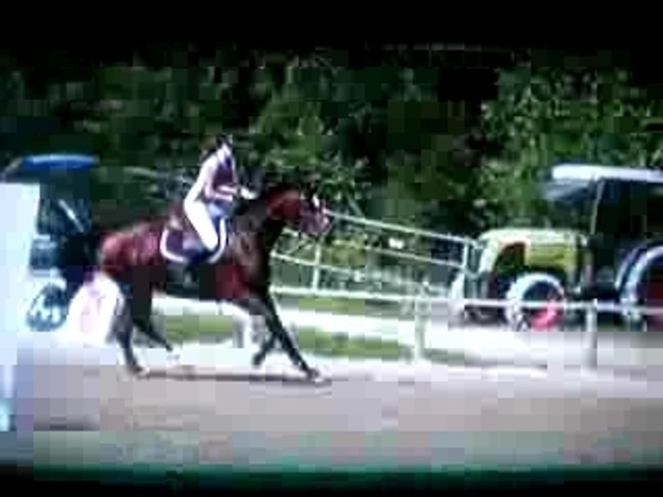 CSO Reitwiller