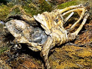 BEBEDIZO - POEMA DE VERANO BRISAS - INTERPRETADO POR EL ACTOR JUAN CARLOS RIVILLAS ÁLVAREZ