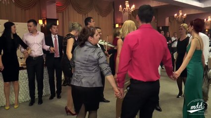 CAMELIA CIUCA - HORE SI SARBE 2016