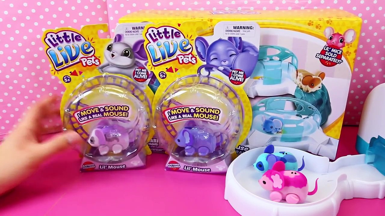 Little Live Pets Lil Mouse House Trail Track Set Tubes ❤ Baby Mice Moose Toys Review Disn