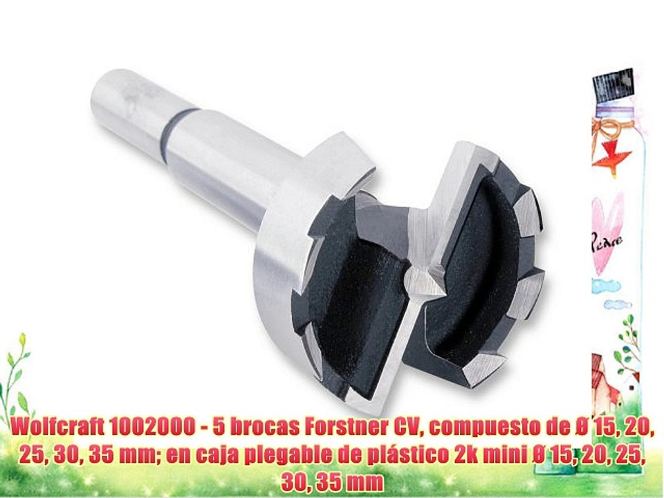 Wolfcraft 1002000 - 5 brocas Forstner CV compuesto de Ø 15 20 25 30 35 mm en caja plegable