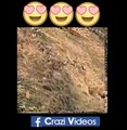 OMG! They are So Cute Animals Race on the Mountain hahaha So Funny