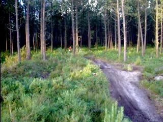 Journéé avec ma sohoo