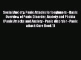 Read Social Anxiety: Panic Attacks for beginners - Basic Overview of Panic Disorder Anxiety