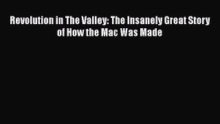 PDF Revolution in The Valley: The Insanely Great Story of How the Mac Was Made  Read Online