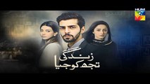 Zindagi Tujh Ko Jiya Episode 14 Promo HUM TV Drama 14 Mar 2016 -
