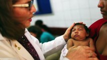 Zika virus: What you need to know BBC News