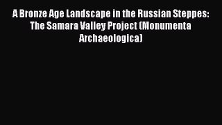 Read A Bronze Age Landscape in the Russian Steppes: The Samara Valley Project (Monumenta Archaeologica)